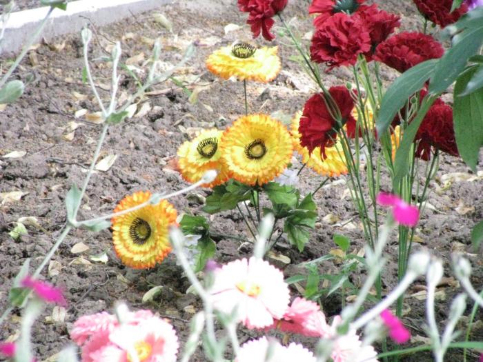 Квіти меморіал трагедія хутір Буда