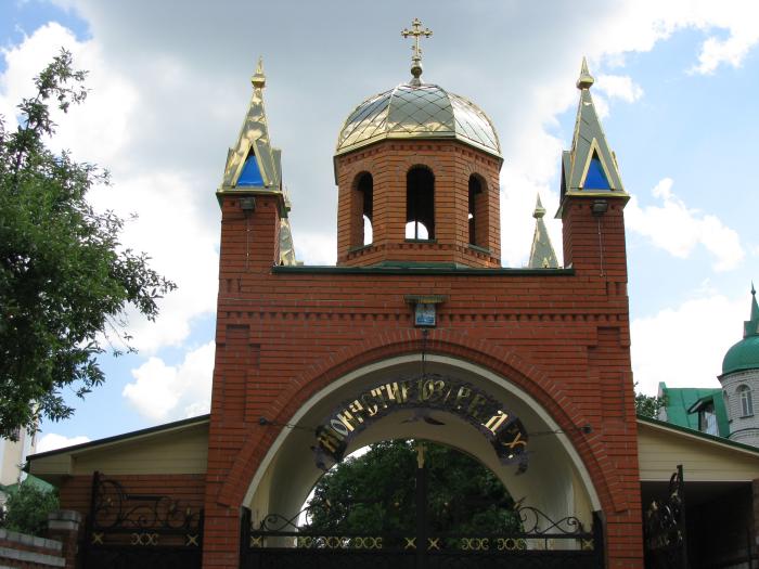 Ворота Мотронинський монастир