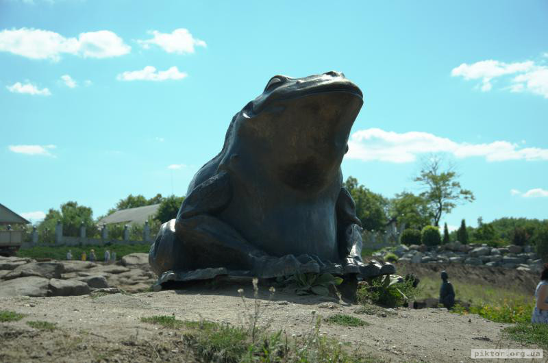 Велика жаба в Буках