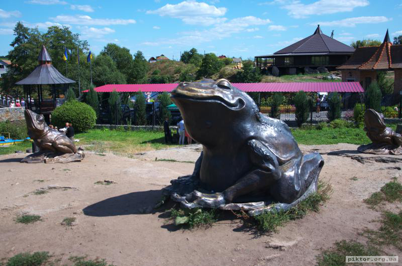 Жаба з жабенятами