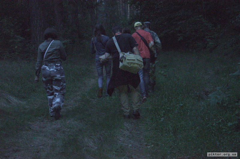 Прогулянка лісом увечері