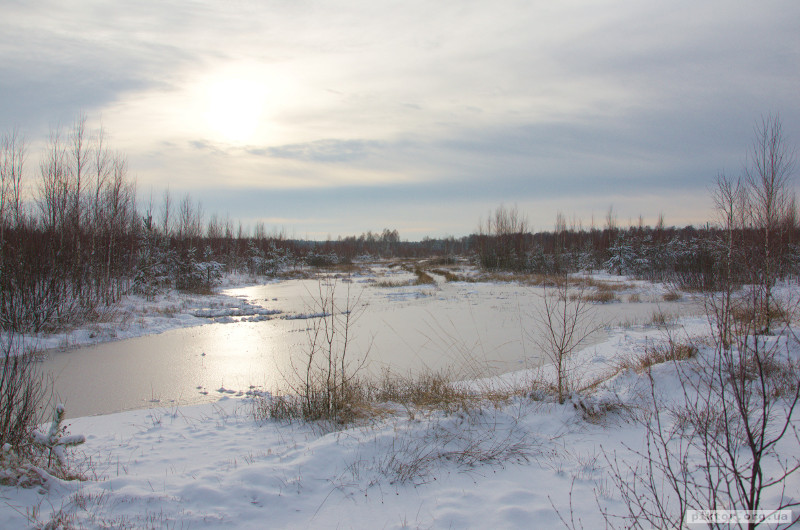 Зимове болото