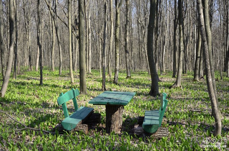 Столик в лісі